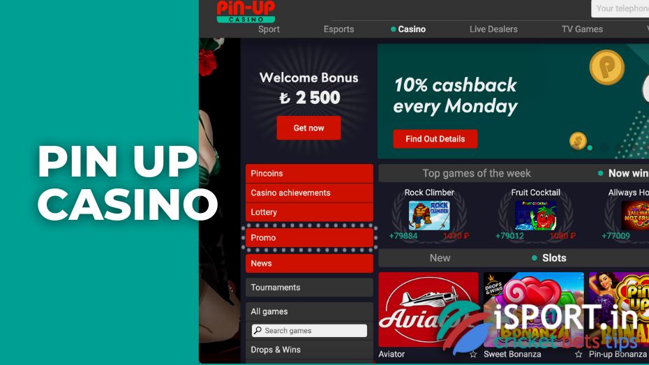 casino online game pin up casino online game pin up